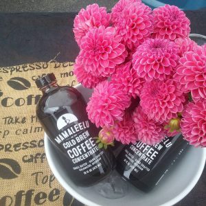 botellas de cold brew