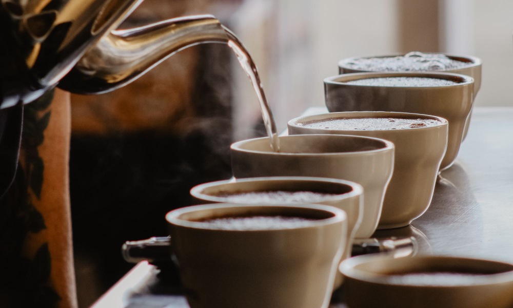 Preparación de café para cata
