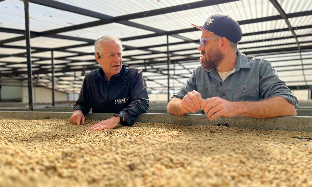 Profesionales del café en finca de café