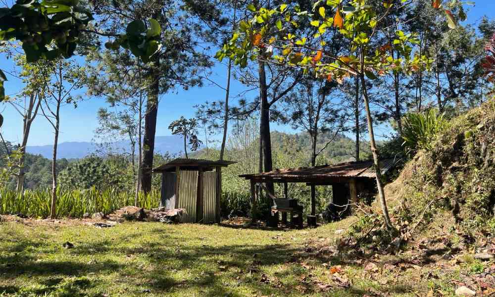 Instalaciones de finca de café