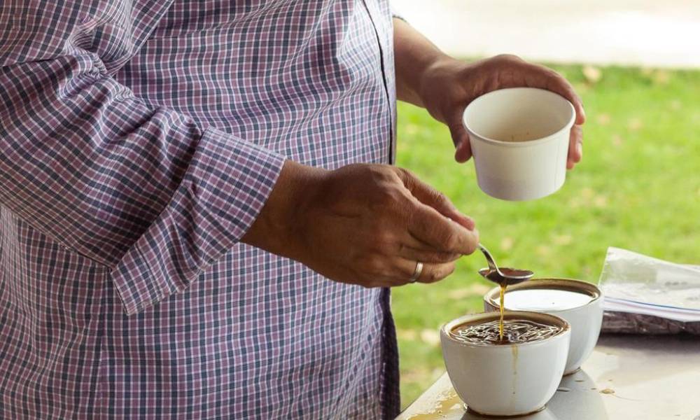 Muestras de café para catación