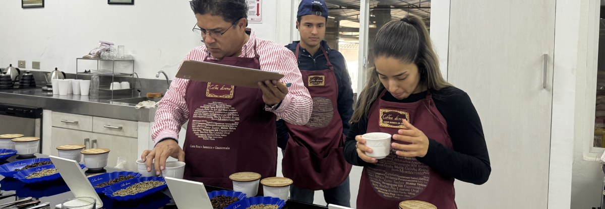 Mejorar las puntuaciones de cata con procesos infusionados no es una opción para los caficultores