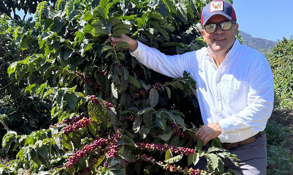 Productor de café especial