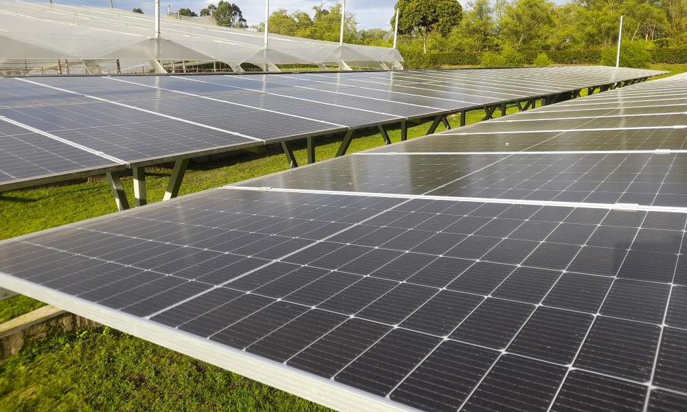 Paneles solares