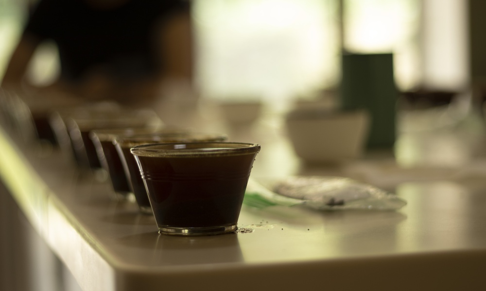 Muestras de café tostado