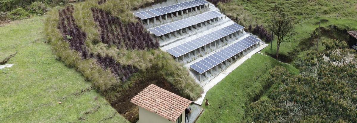 ¿Cuál es la conveniencia económica de usar energía solar en las fincas de café?