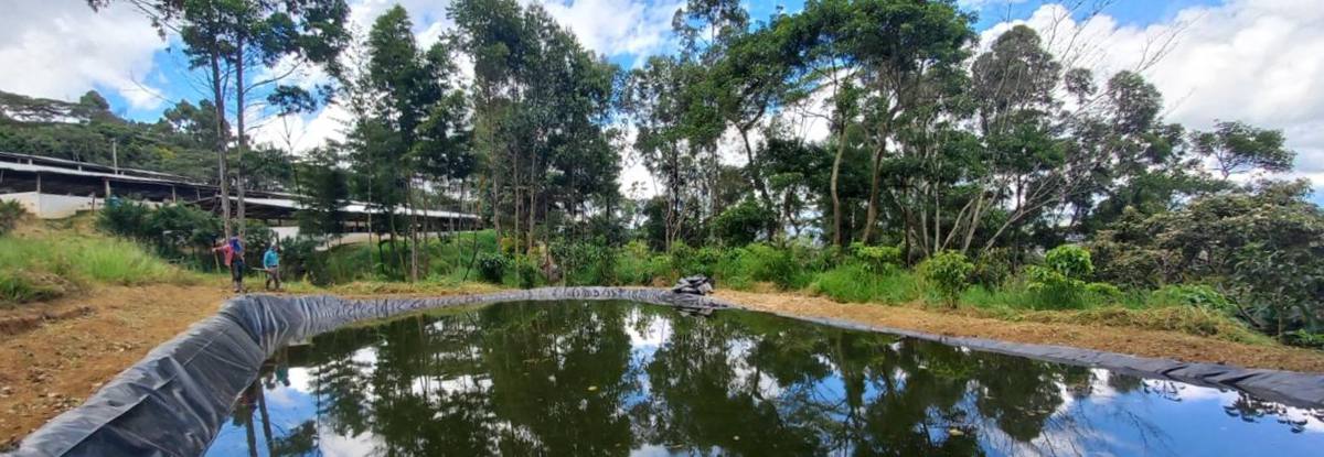 Estas son las ventajas del aprovechamiento de aguas lluvias en las fincas cafeteras