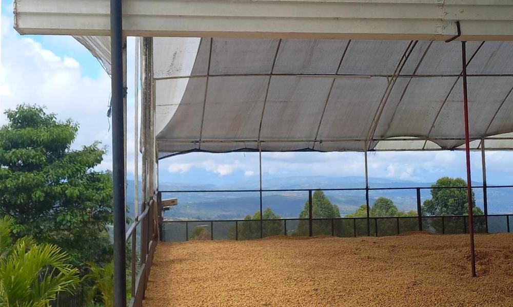 Instalaciones de finca de café