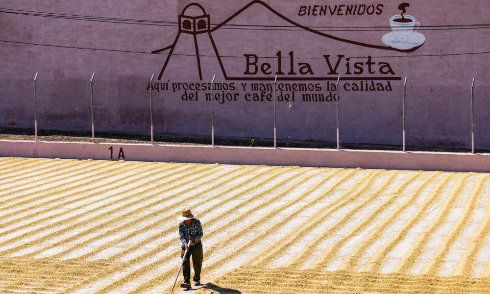 Beneficio Bella Vista