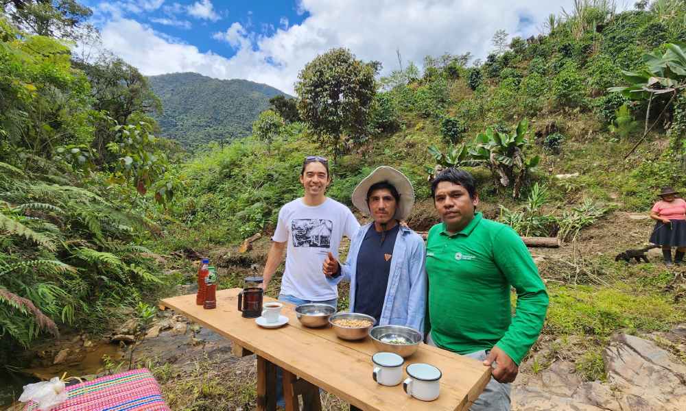 Productores de café