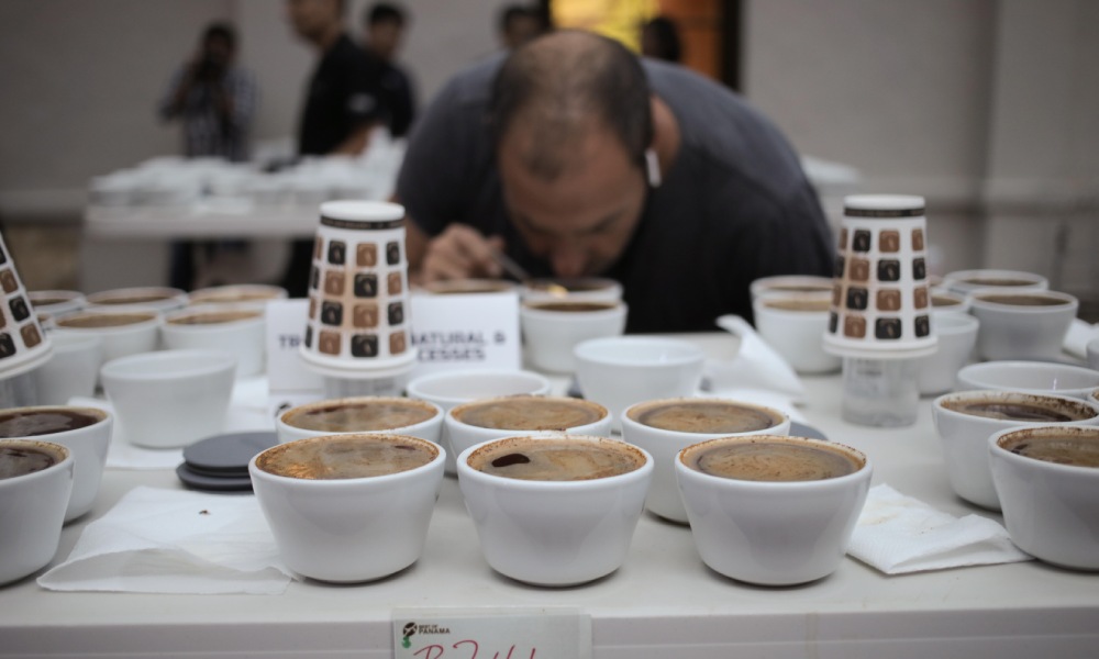 Catación de café
