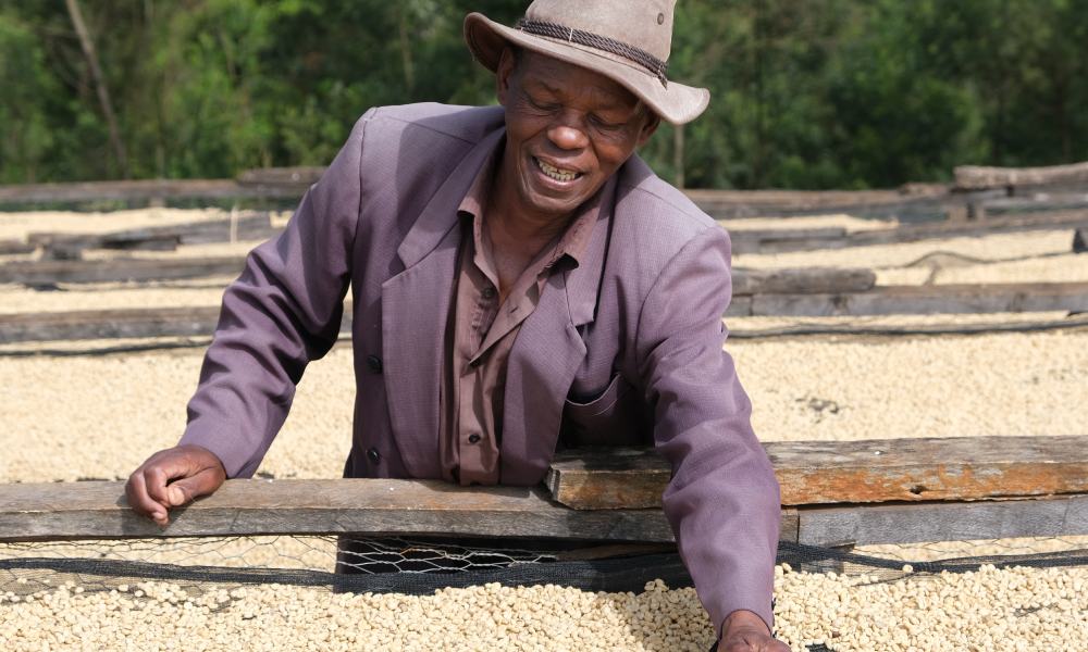 Profesional del café en finca