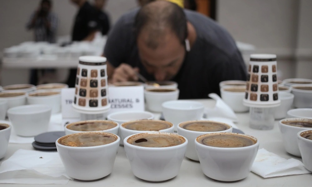 Catación de café en Best of Panama