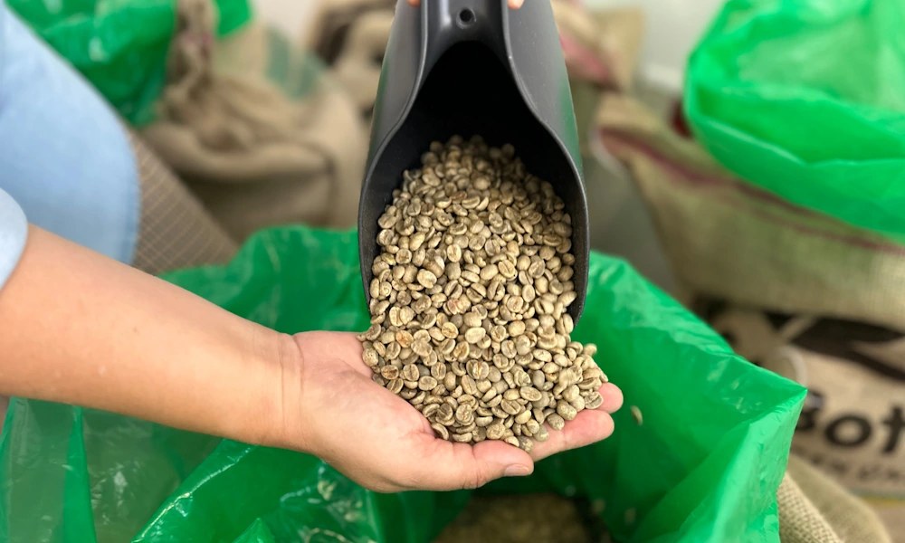 Abastecimiento de café verde