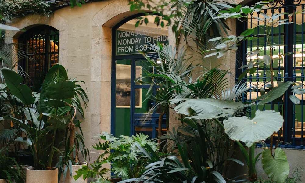 Cafetería en España