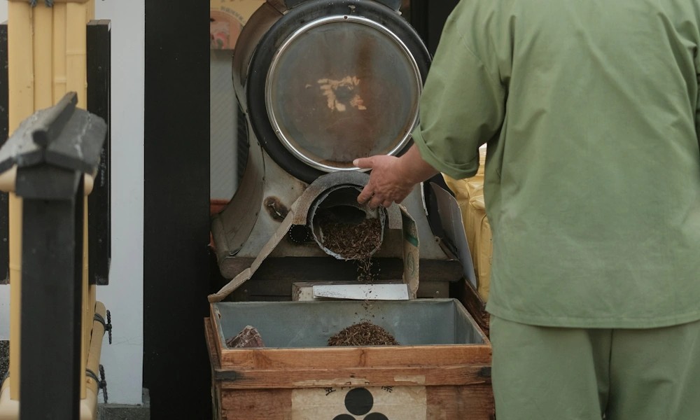 Procesamiento de hojicha