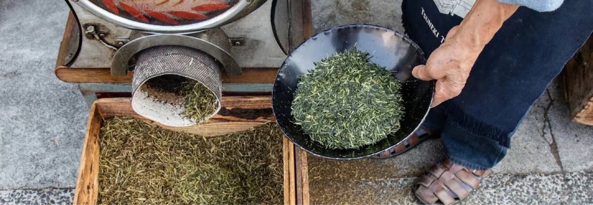 ¿Podría el hojicha ser el próximo matcha?