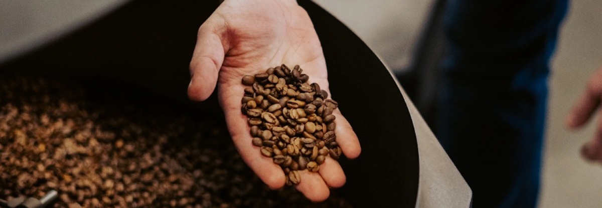 Por qué las marcas de equipos para café necesitan diversificarse, al igual que todos los demás