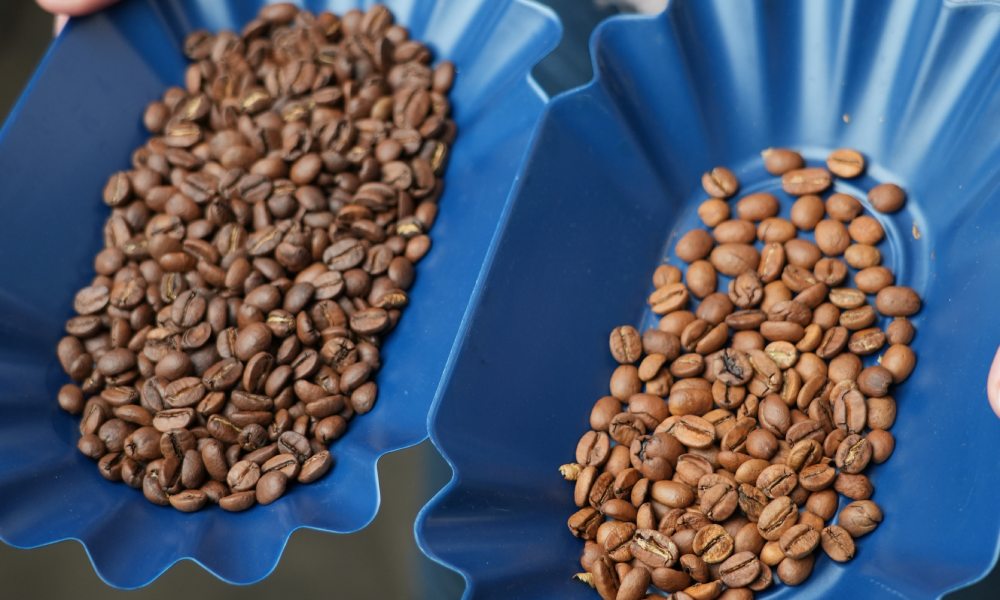 Granos de café tostados