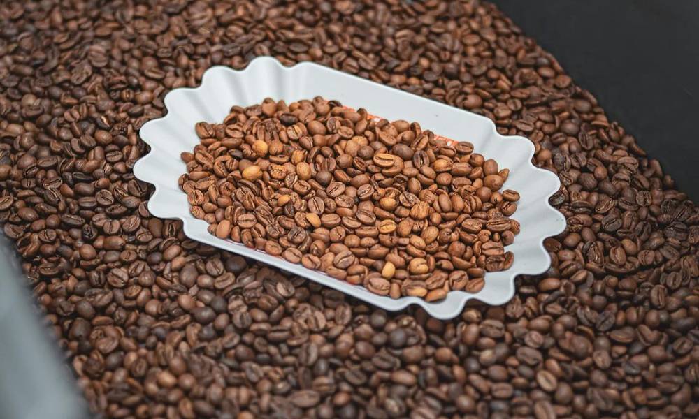 Muestra de café tostado