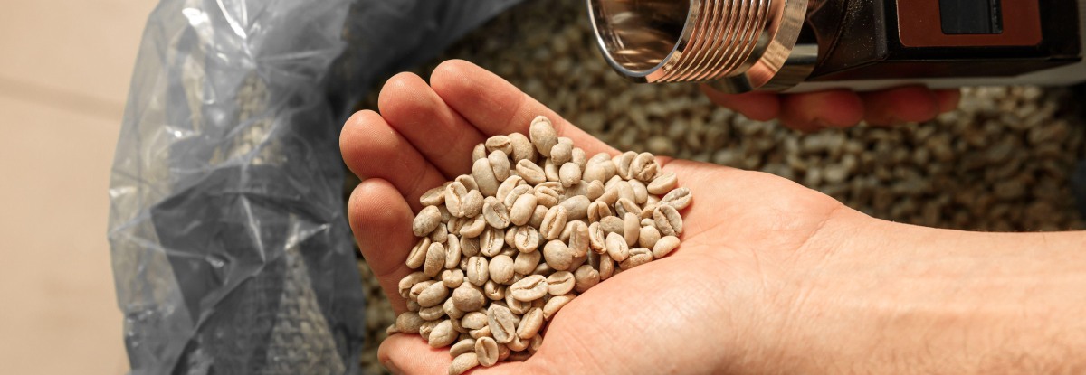 ¿Los cafés experimentales están transformando los protocolos de control de calidad?