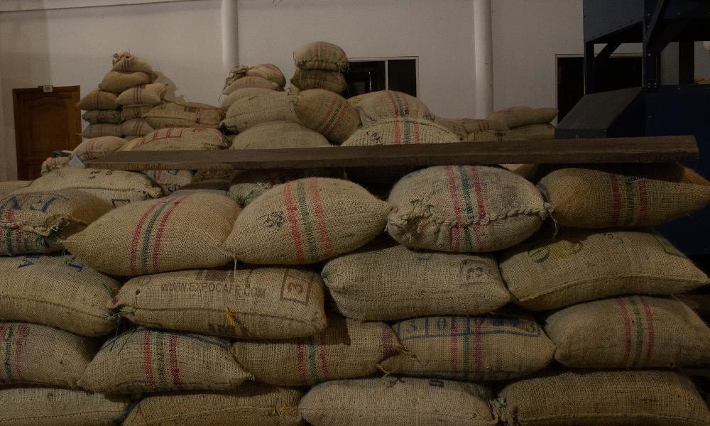Sacos de café verde para exportación