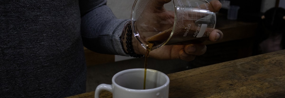 ¿El Catuaí está ganando protagonismo en las mezclas de café?