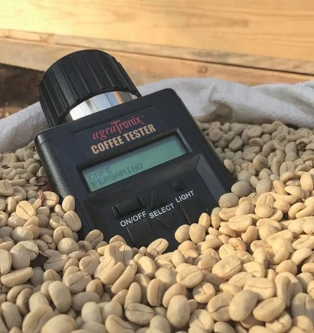 AgraTRonix coffee tester in a bag of green coffee beans