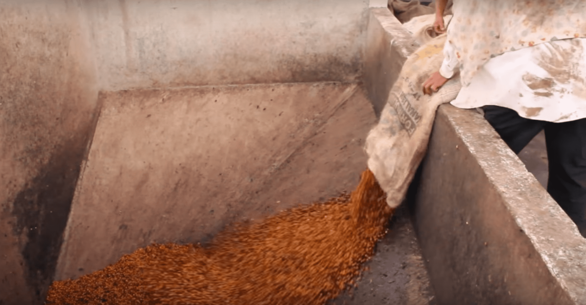 natural processed microlot coffee