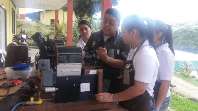 cupping school honduras
