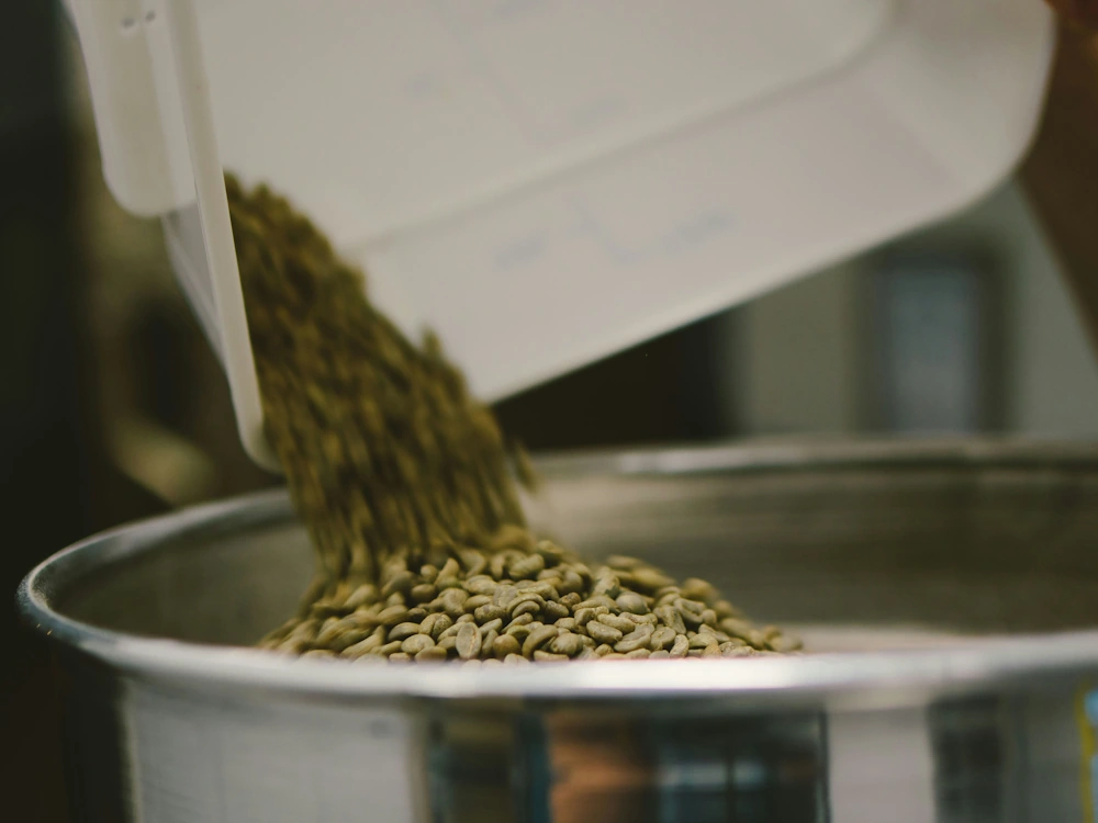 Pouring green beans into metal tub.